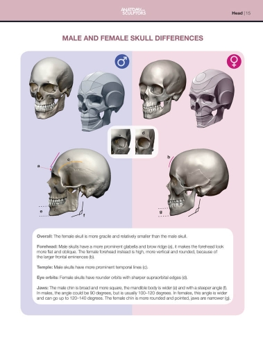 male-and-female-skull-differences-form-of-the-head-and-neck-x1000_900x.jpg