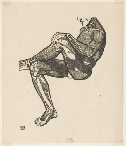 morpho YR0217793_Anatomical-study-of-a-mans-leg-and-arm-muscles.jpg